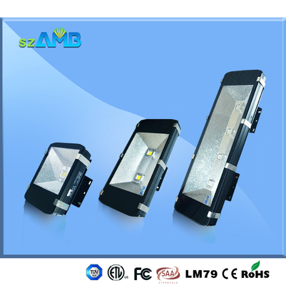 100w Energy Saving Led Outdoor Floodlight Bridgelux chips